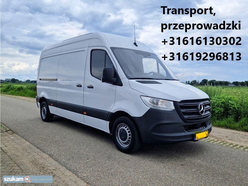 Transport Holandia codziennie.