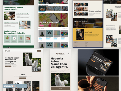 Zdjęcia przypisane do ogłoszeniaProjektowanie stron WWW, UI/UX, grafika i branding dla firm  w kategorii Informatyczne