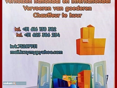 Zdjęcia przypisane do ogłoszeniaTransport Holandia.  w kategorii Inne