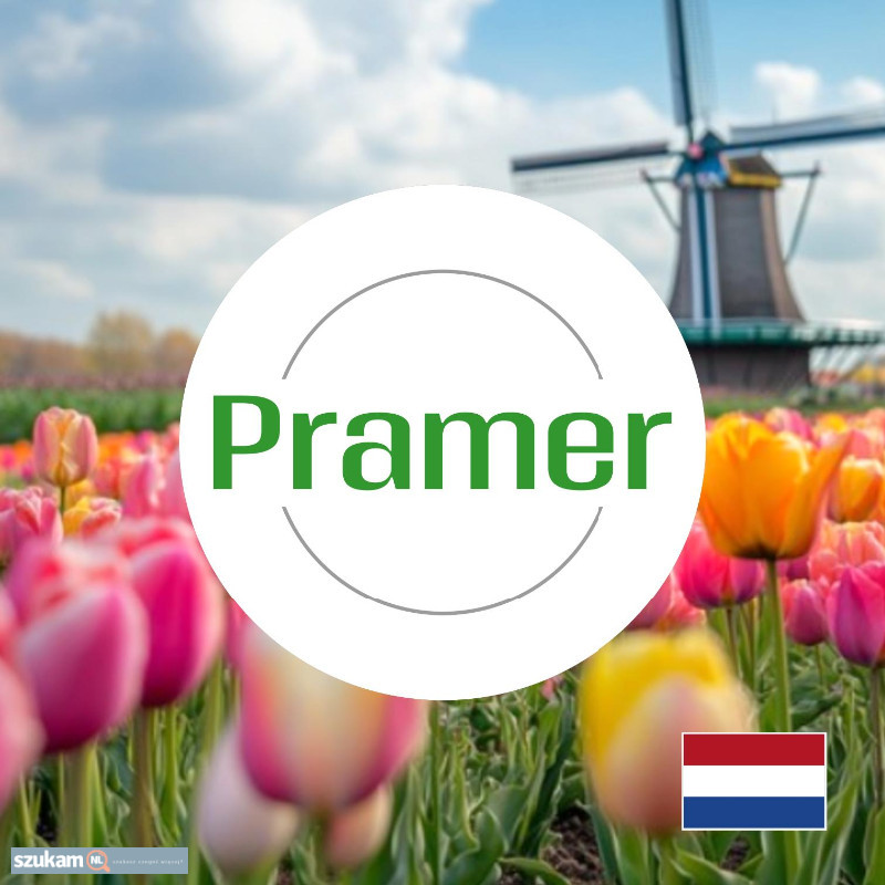 Pracownik fizyczny - bez prawa jazdy