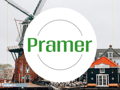 Zdjęcia przypisane do ogłoszeniaŚcinka i zbiór papryki - bez języka  w kategorii Dam pracę