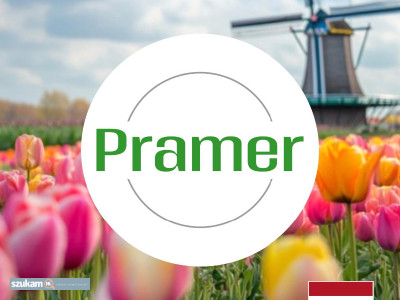 Zdjęcia przypisane do ogłoszeniaPracownik pakowania wafli ryżowych - wysokie wynagrodzenie (  w kategorii Dam pracę