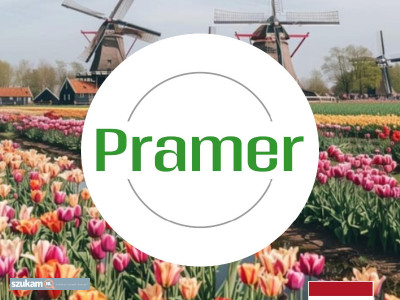 Zdjęcia przypisane do ogłoszeniaPracownik szklarni z różami - z doświadczeniem  w kategorii Dam pracę