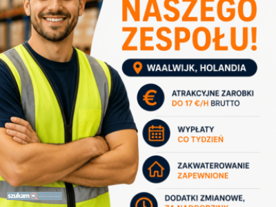 Zdjęcia przypisane do ogłoszenia💼 Holandia praca dla osób z angielskim i prawem jazdy  w kategorii Dam pracę