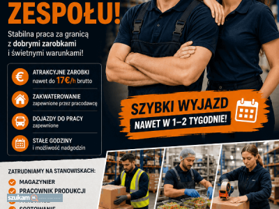 Zdjęcia przypisane do ogłoszenia🚀 Znasz angielski i masz Prawko? Holandia czeka  w kategorii Dam pracę